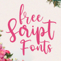 20+ Best Free Script Fonts for Graphic Designers