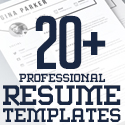 20+ Professional CV Resume Templates in 2022